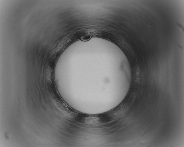 X0000103450266200809261824