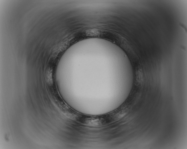 X0000103450267200809261824