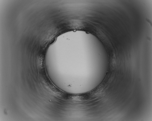 X0000103450268200809261824