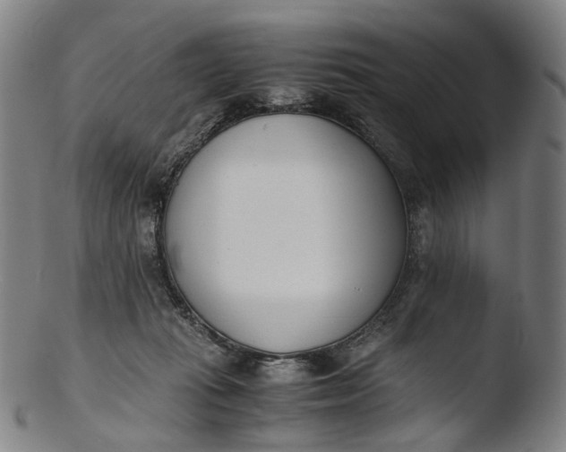 X0000103450269200809261824