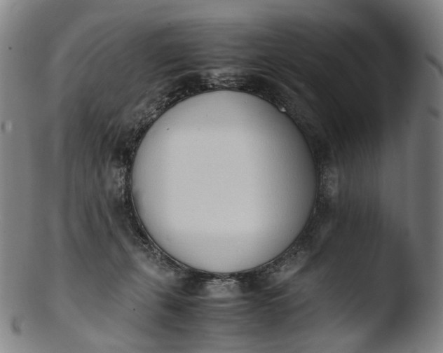 X0000103450271200809261824