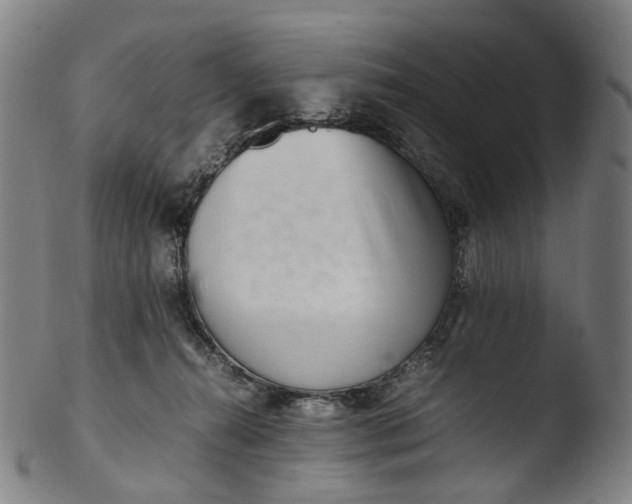 X0000103450272200809261824