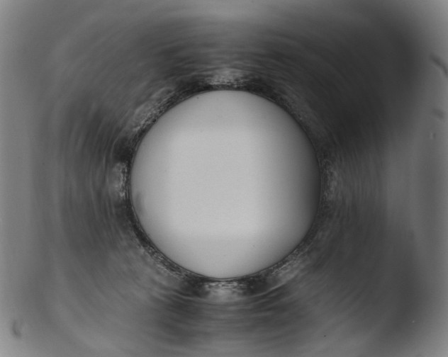 X0000103450273200809261824