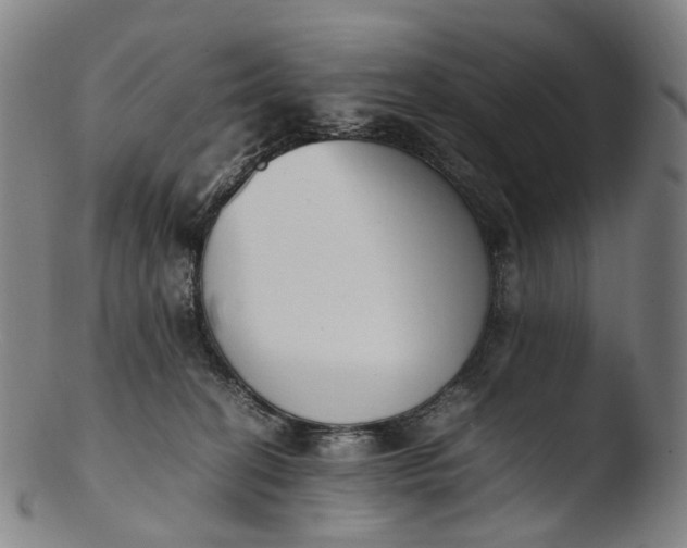 X0000103450274200809261824