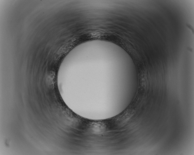 X0000103450275200809261824