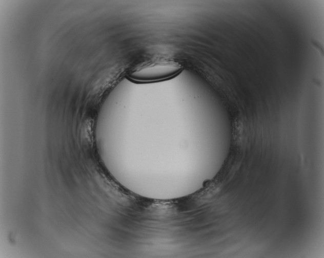 X0000103450280200809261824