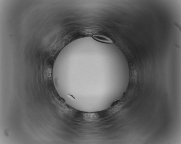 X0000103450281200809261824