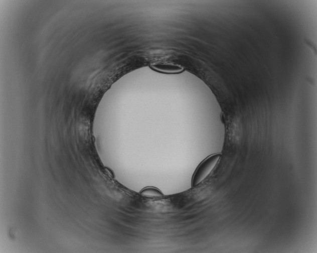 X0000103450283200809261824