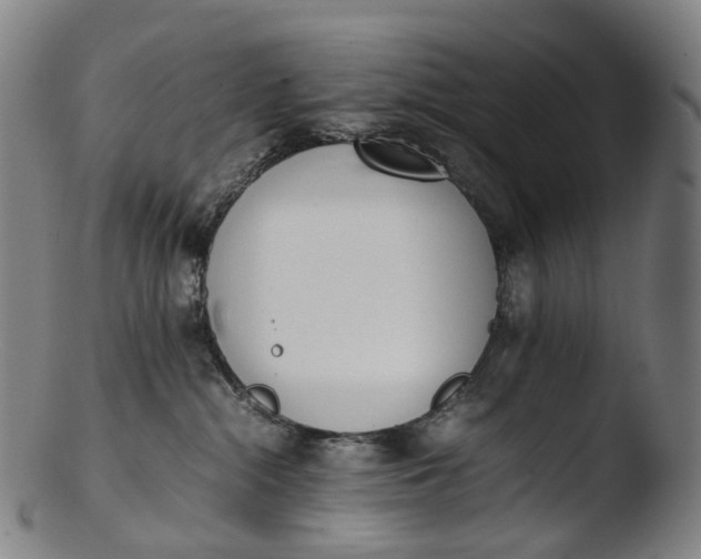 X0000103450284200809261824