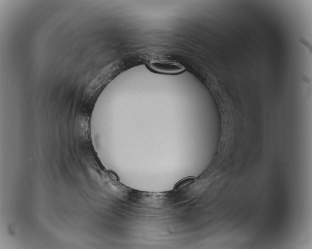 X0000103450288200809261824