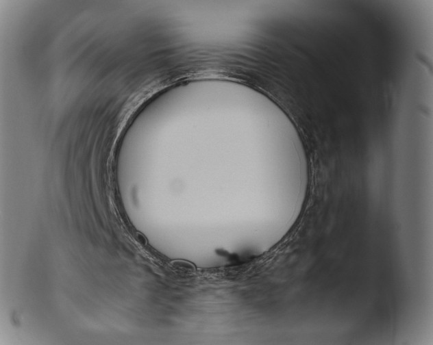 X0000103450289200809261823