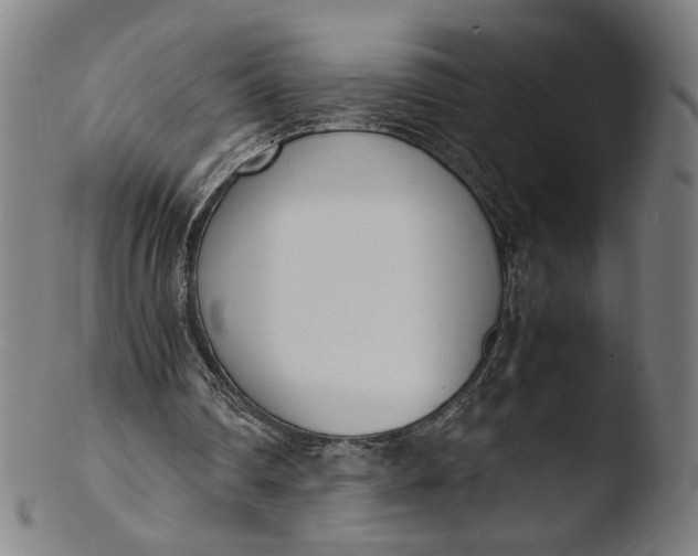 X0000103450290200809261823