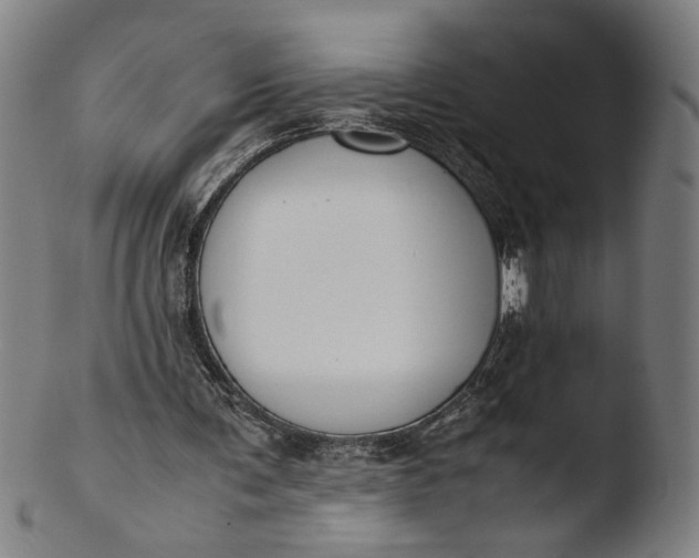 X0000103450291200809261823