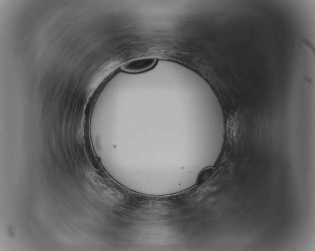 X0000103450292200809261823