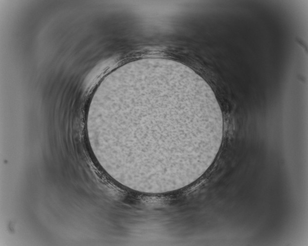 X0000103450293200809261823