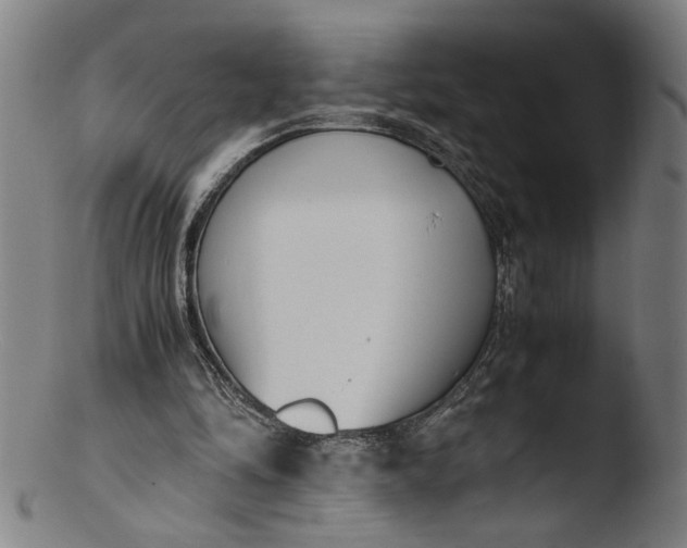 X0000103450294200809261823