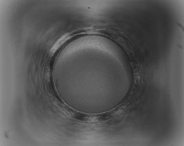 X0000103450295200809261823