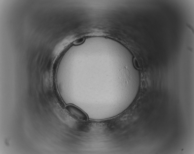 X0000103450296200809261823