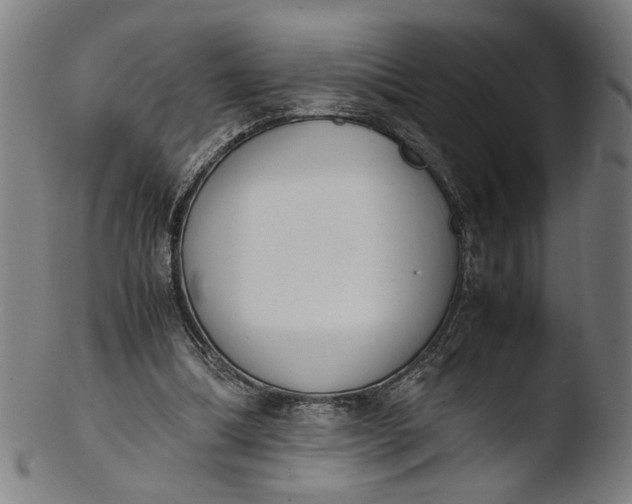 X0000103450298200809261823