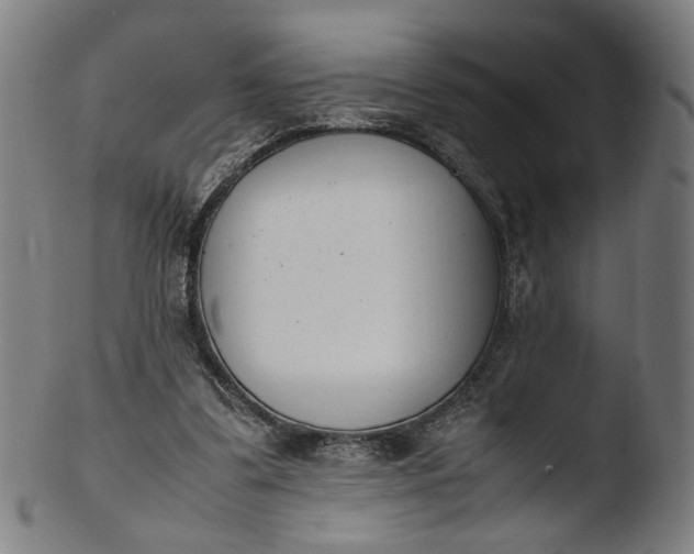 X0000103450299200809261823