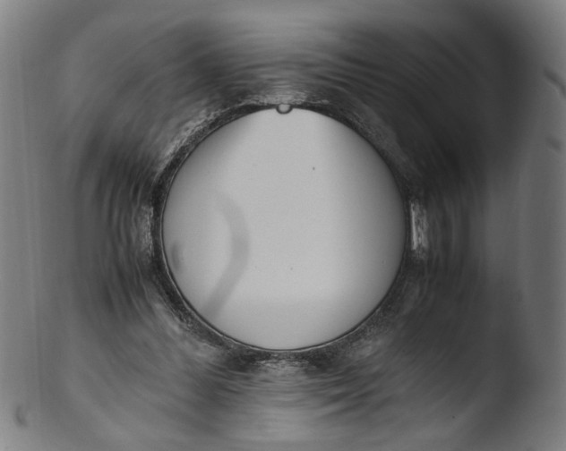 X0000103450300200809261823