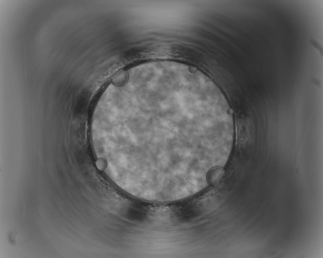 X0000103450301200809261823