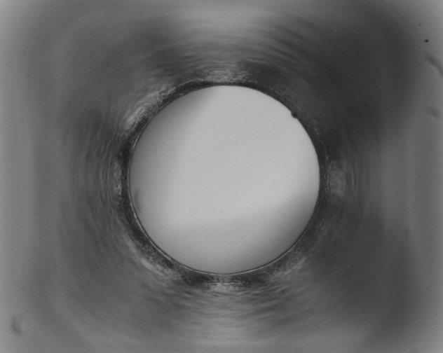 X0000103450303200809261823