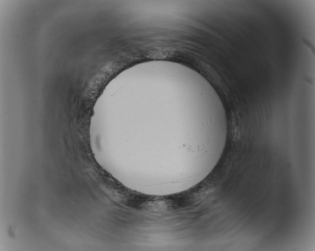 X0000103450307200809261823