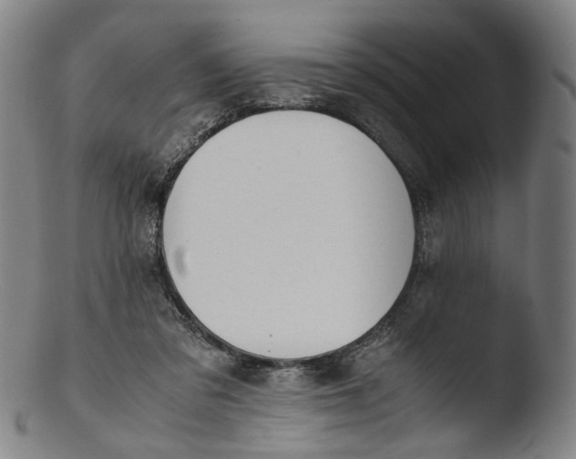 X0000103450309200809261823