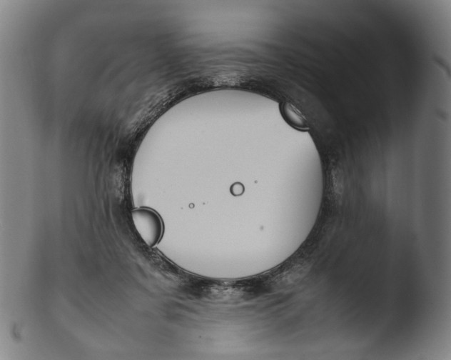 X0000103450311200809261823