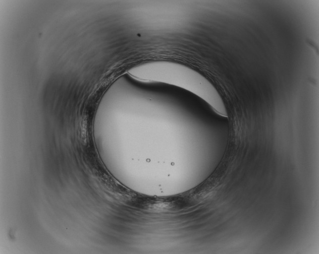 X0000103450312200809261823