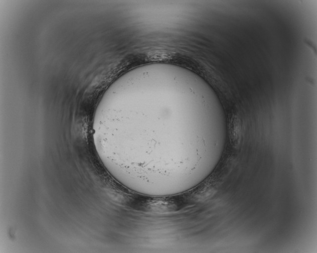 X0000103450315200809261823