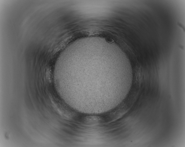 X0000103450316200809261823