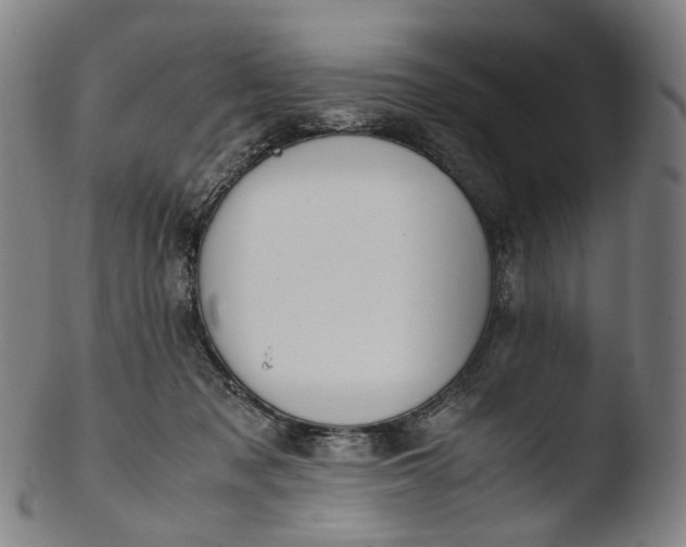 X0000103450317200809261823