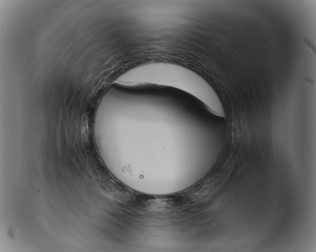 X0000103450320200809261823