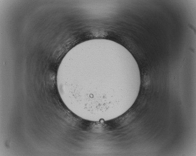 X0000103450321200809261823