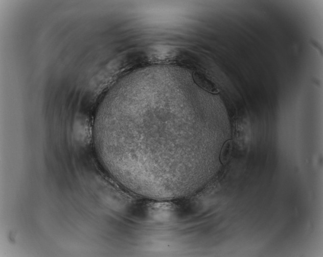 X0000103450324200809261823