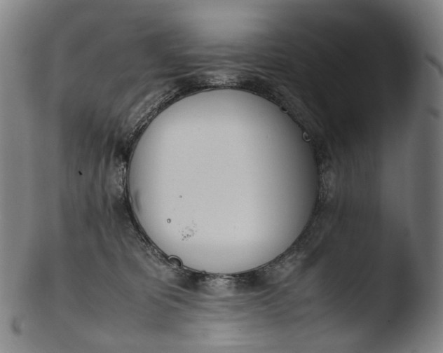 X0000103450325200809261823