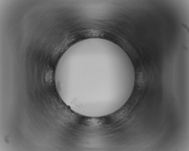 X0000103450326200809261823