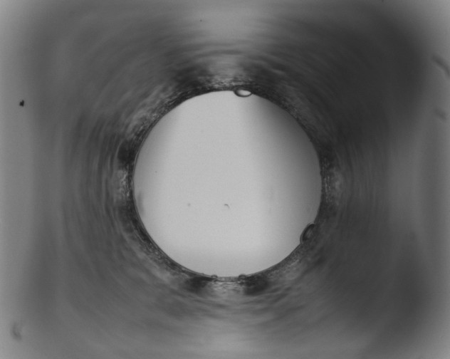 X0000103450327200809261823