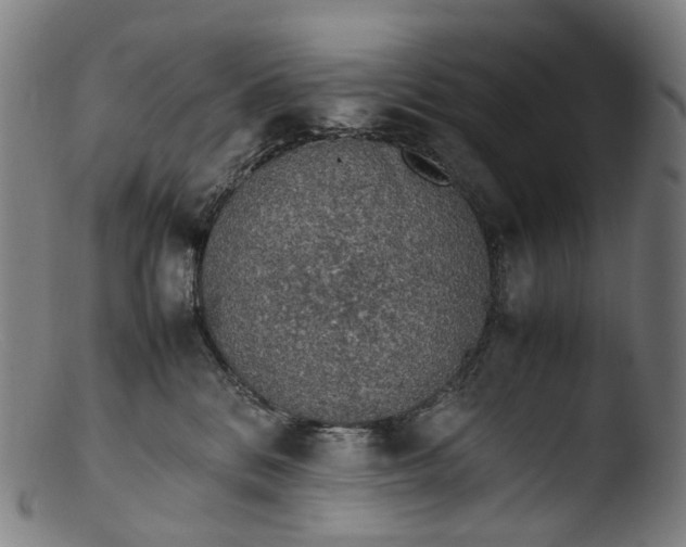 X0000103450328200809261823