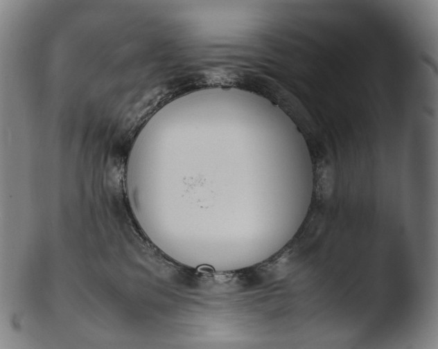 X0000103450329200809261823