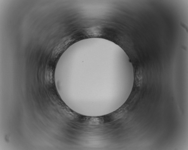 X0000103450330200809261823