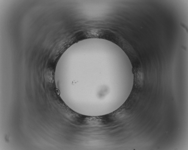 X0000103450331200809261823