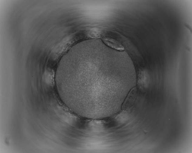 X0000103450332200809261823