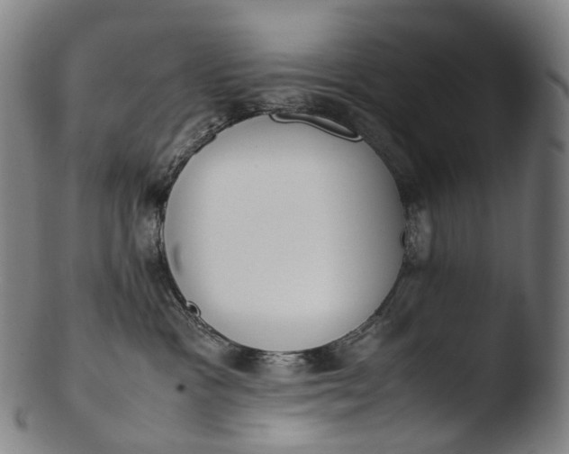 X0000103450333200809261823