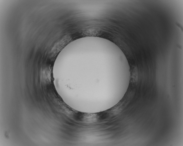 X0000103450334200809261823