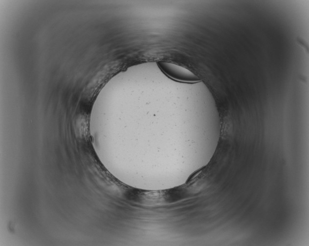 X0000103450335200809261823