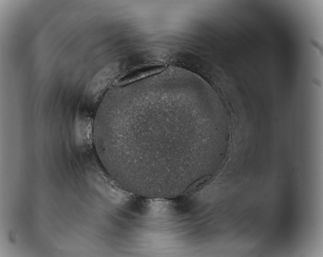 X0000103450336200809261823