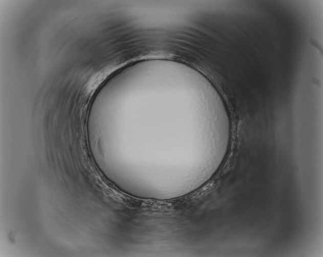 X0000103450337200809261822